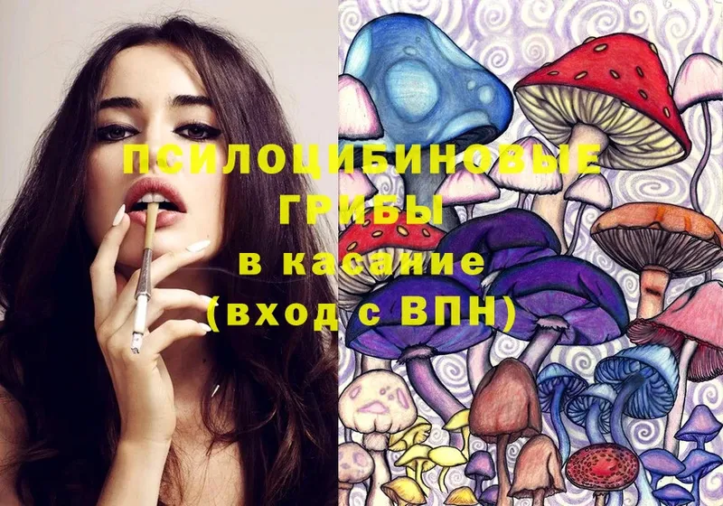 Псилоцибиновые грибы MAGIC MUSHROOMS  блэк спрут ССЫЛКА  Бузулук 